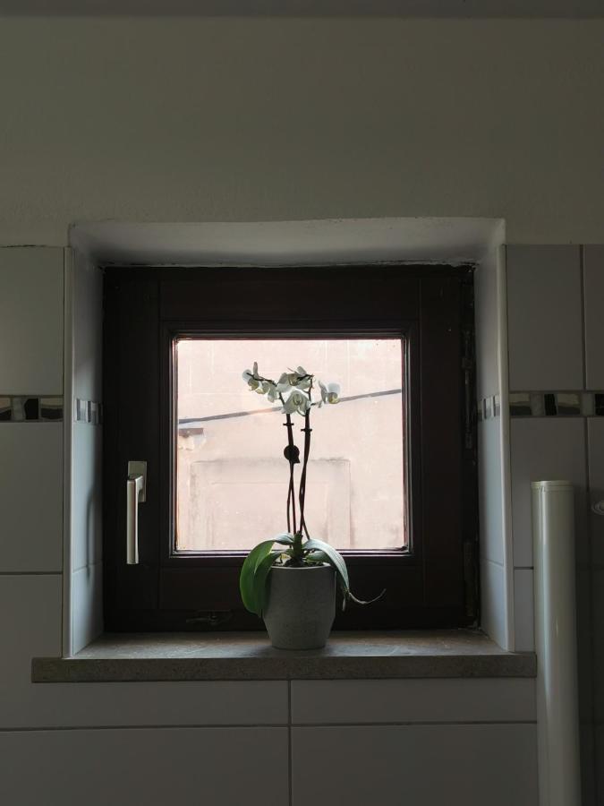 Istrian Old Town Apartment Koper Extérieur photo